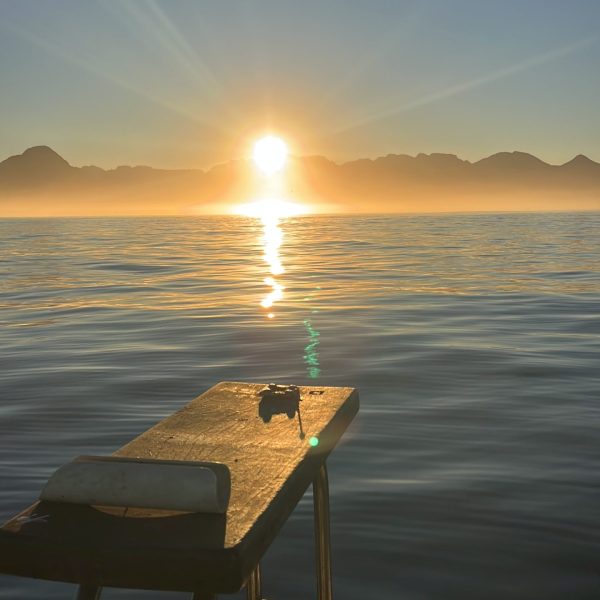 0E1F1E0B-4B1C-4967-A163-6D427CB825FE-min