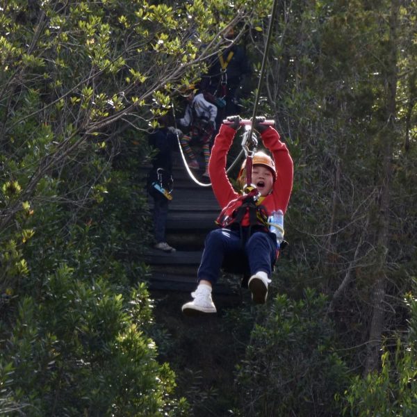 4de4f425-46ac-4c3a-a82a-7d8db2c687db (1)-min