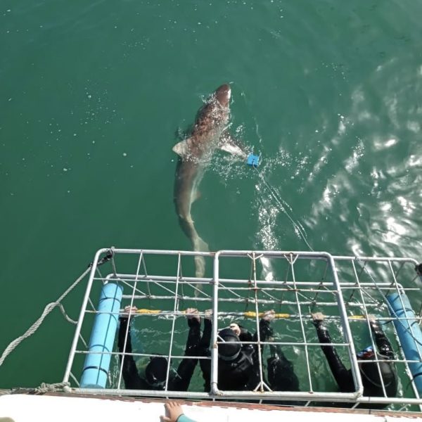 5acfff4f-91cf-4179-a1eb-ea6f4fde310c-min