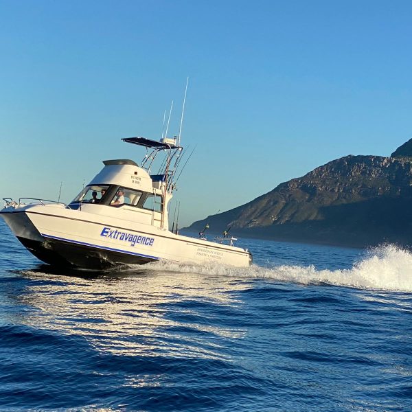 best-deep-sea-fishing-charters-cape-town-hooked-on-africa--min